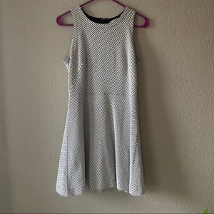 LOFT Textured Skater Dress
